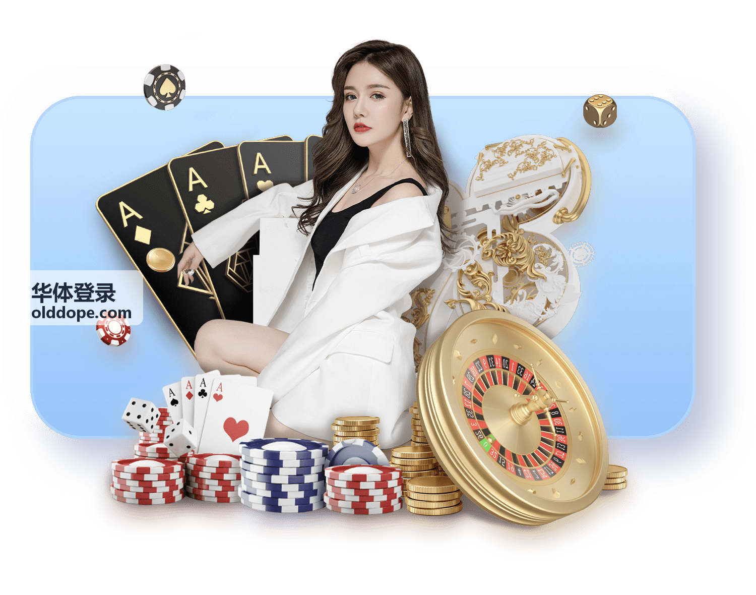 华体登录登录通道与安全说明封面