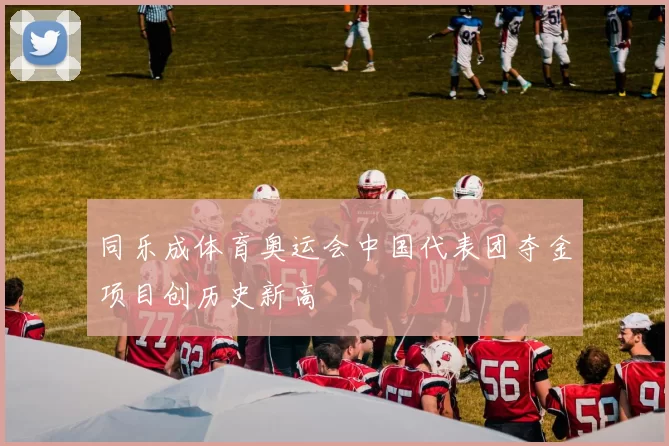 同乐成体育奥运会中国代表团夺金项目创历史新高